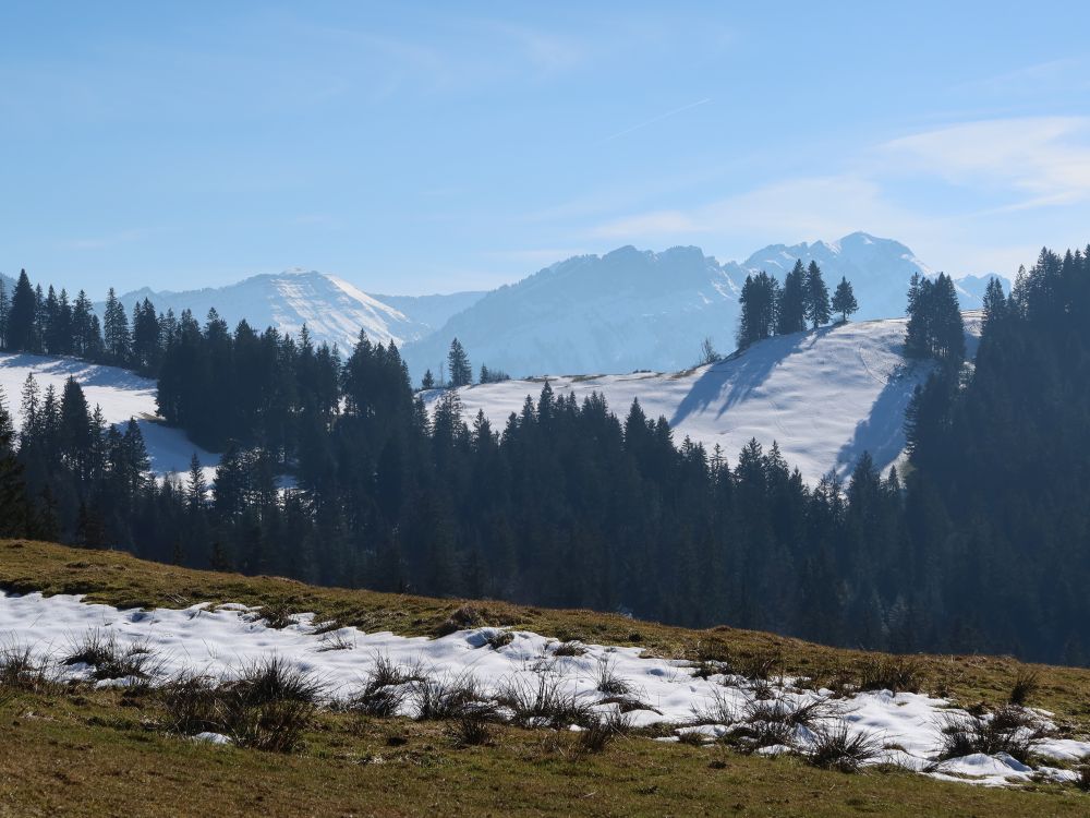 Rickhubel und Schafmatt