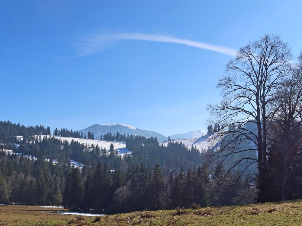 Hengst, Schimbrig und Rickhubel