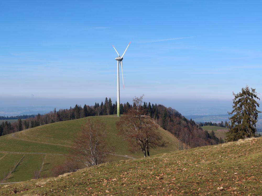 Windrad Lutersarni