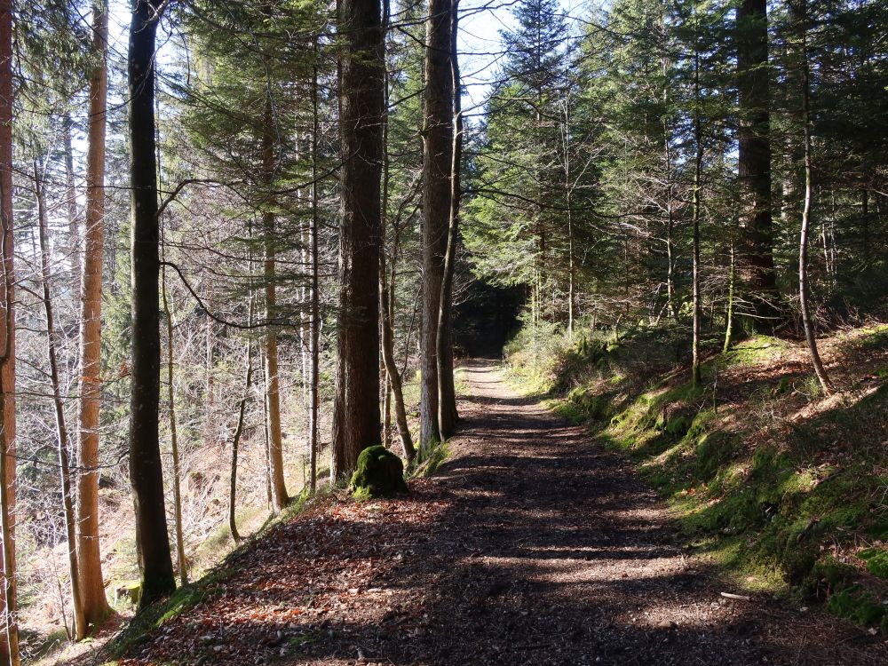 Waldweg