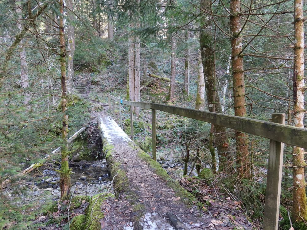 Steg im Reistigraben