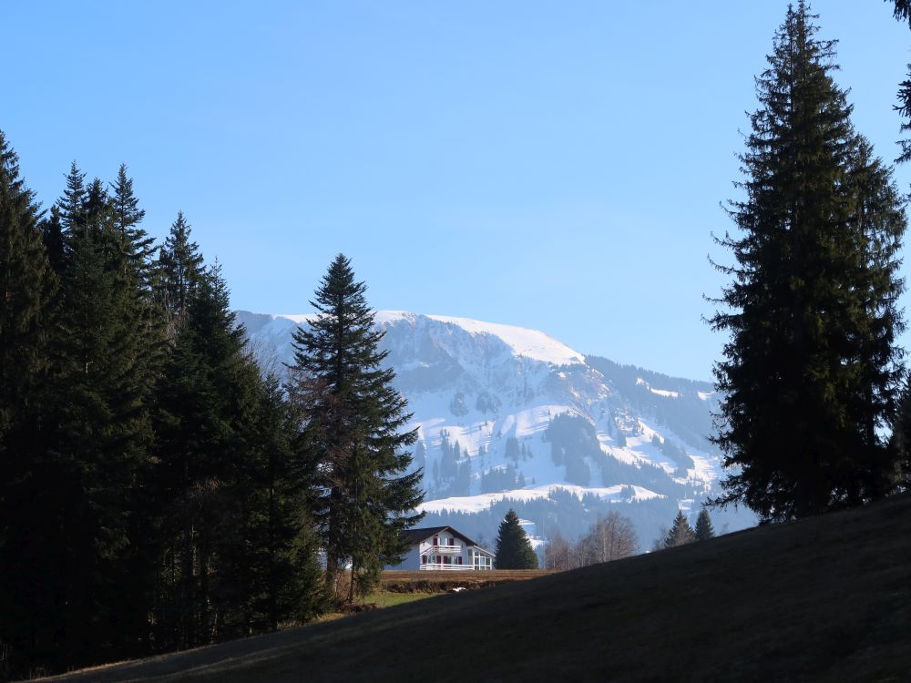 Haus zwisc hen Bäumen und Schimbrig