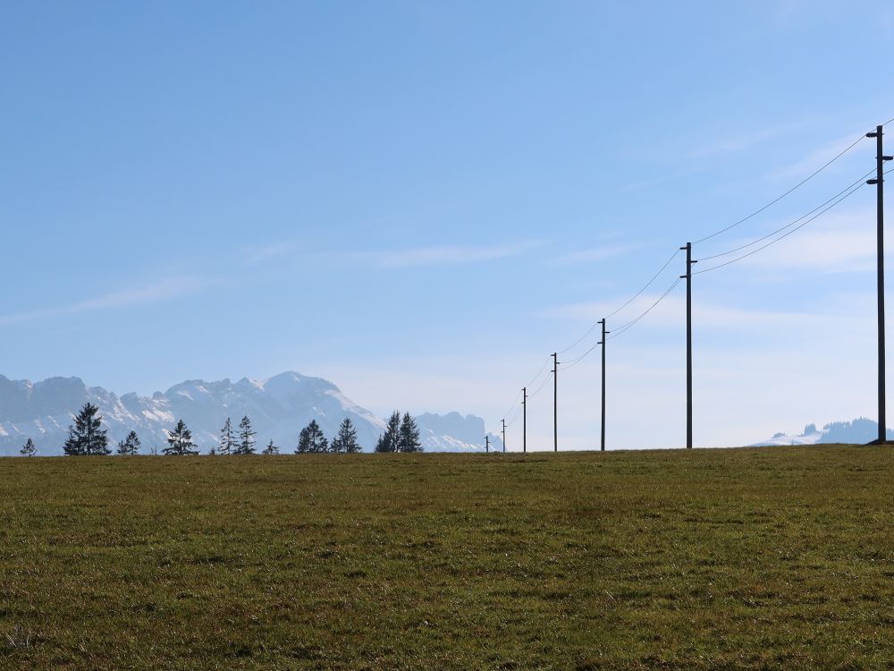 Schafmatt und Stromleitung