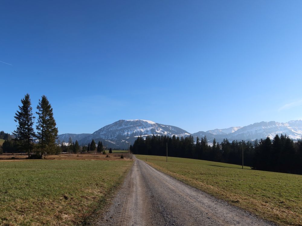Weg mit Hengst und Schimbrig