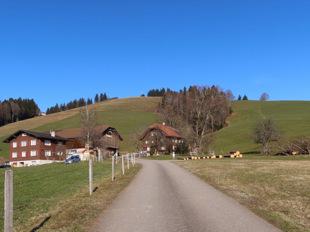 Fuchsschnellen