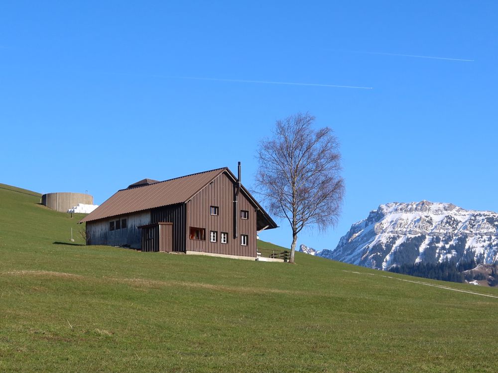 Haus bei Finsterwald mit Stäfeliflue