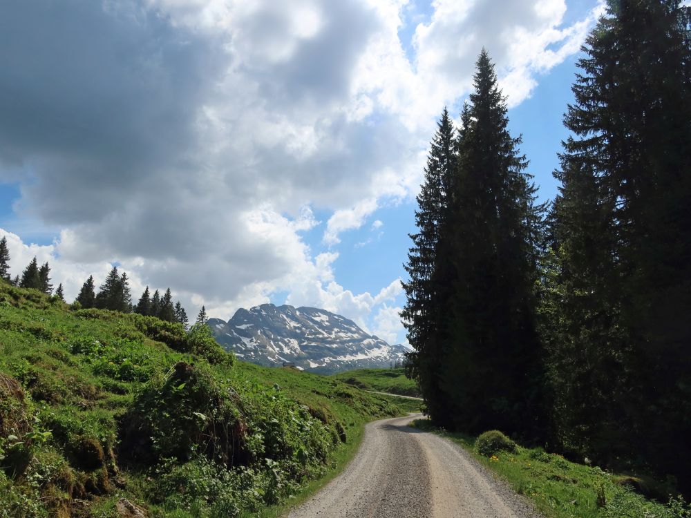 Wasserbergfirst