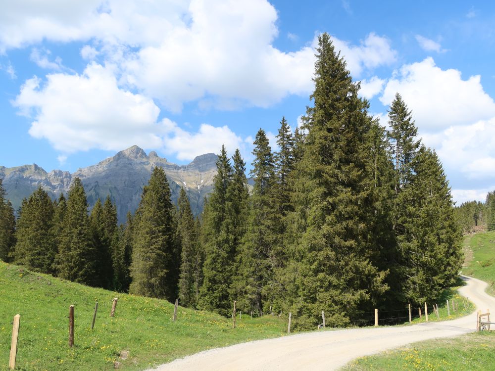Weg bei Gschwänd