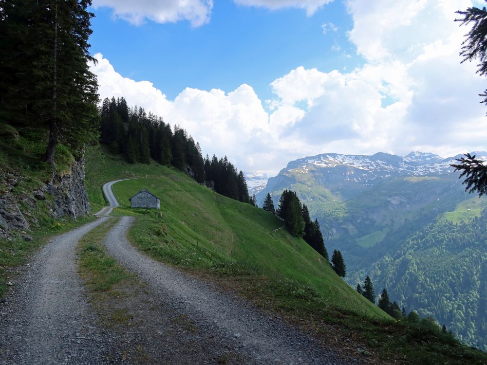 Weg oberhalb Unter Saum