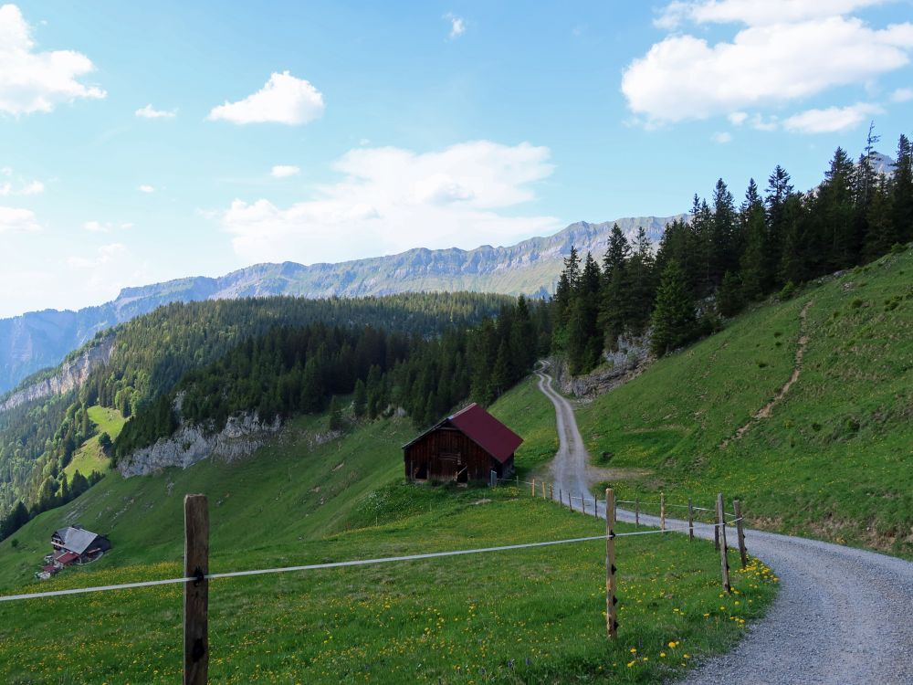 Weg oberhalb Unter Saum