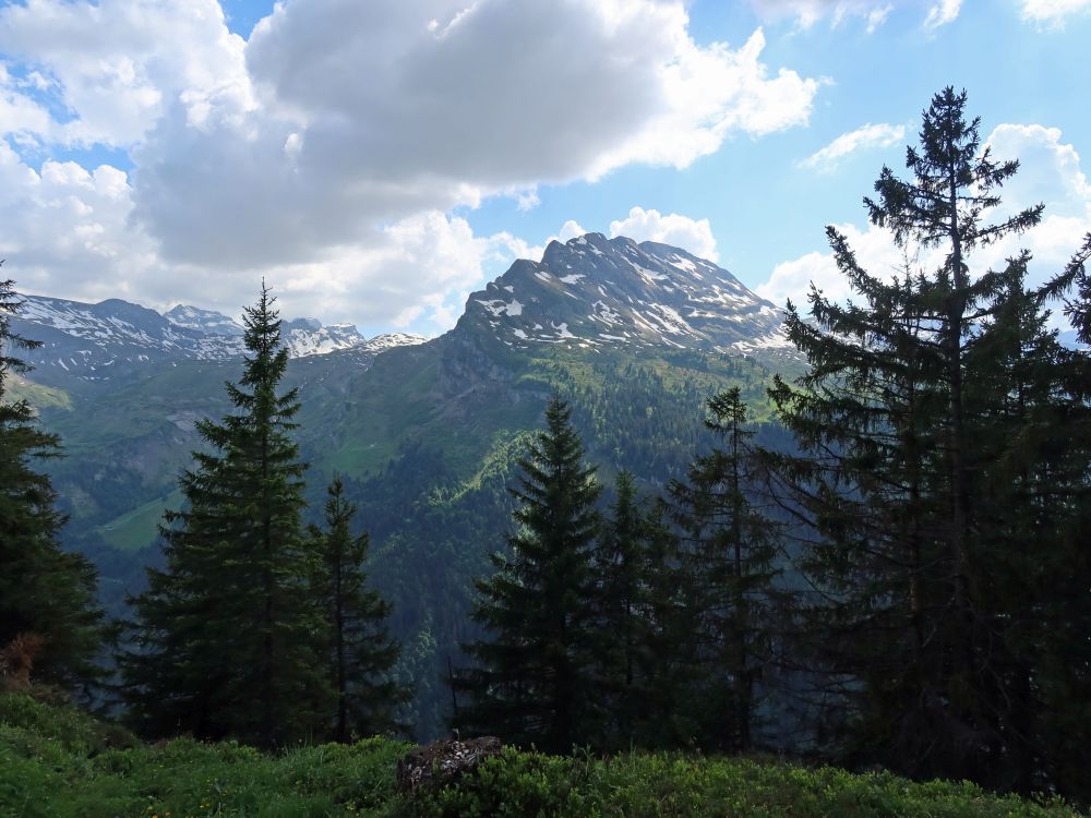 Wasserbergfirst