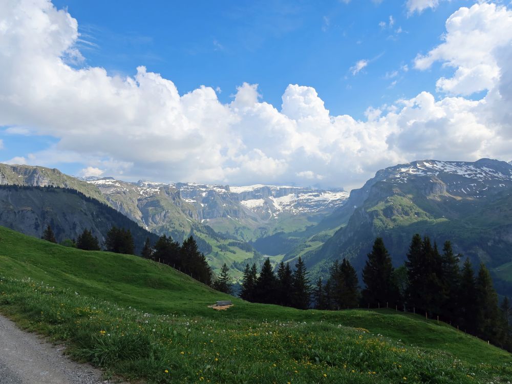 Blick ins Bisistal