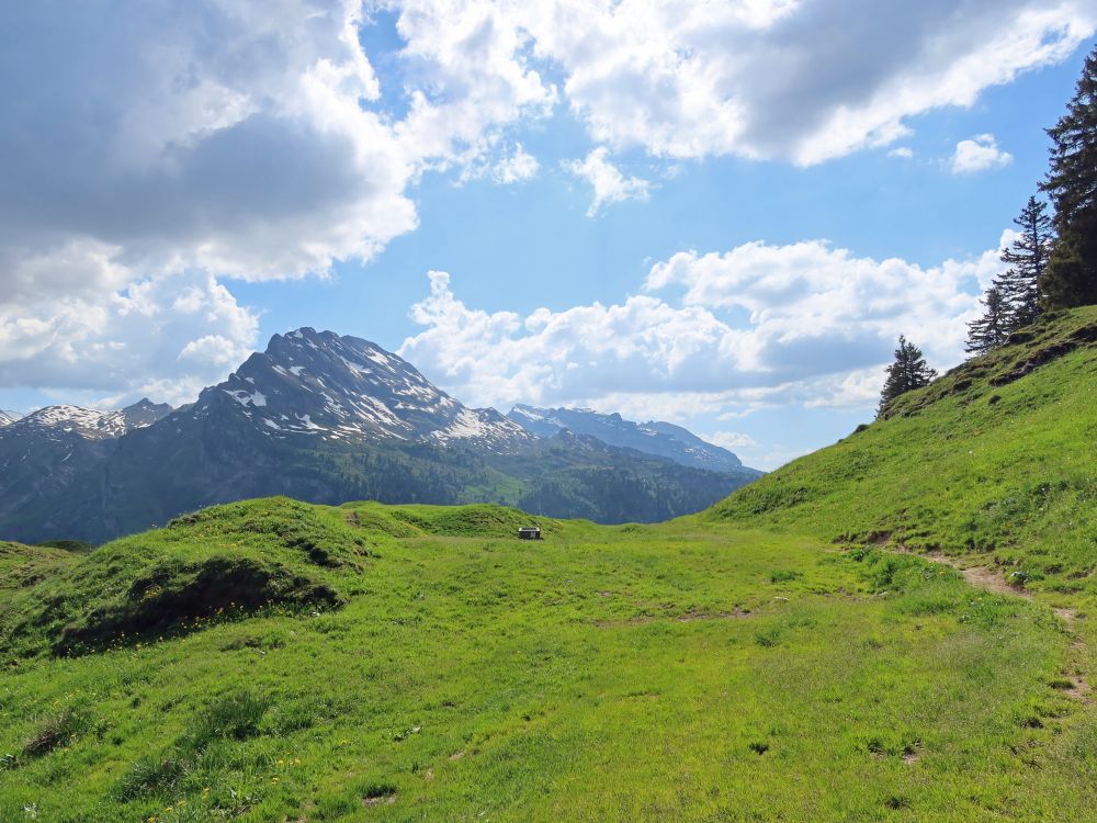 Wasserbergfirst