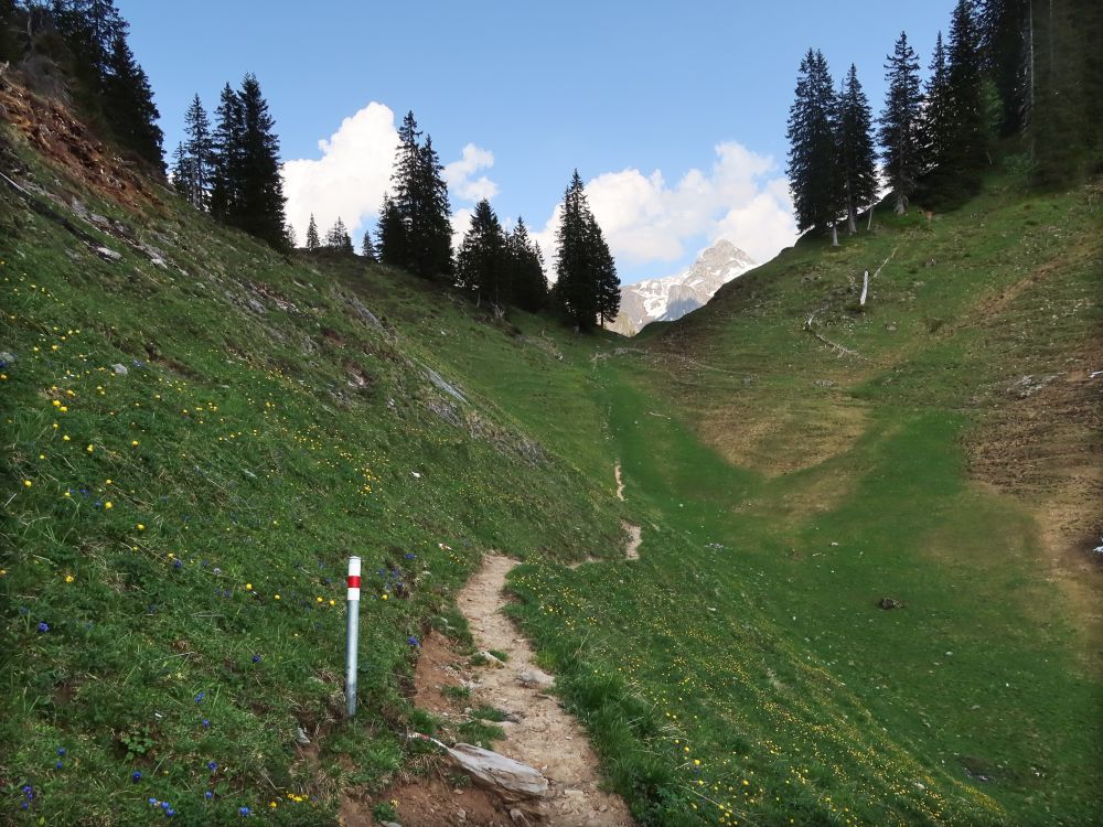Pfad im Chalbertal