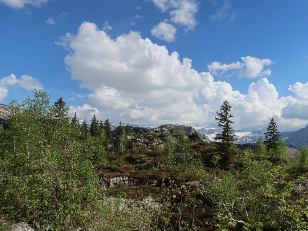 Blick Richtung Chupferberg