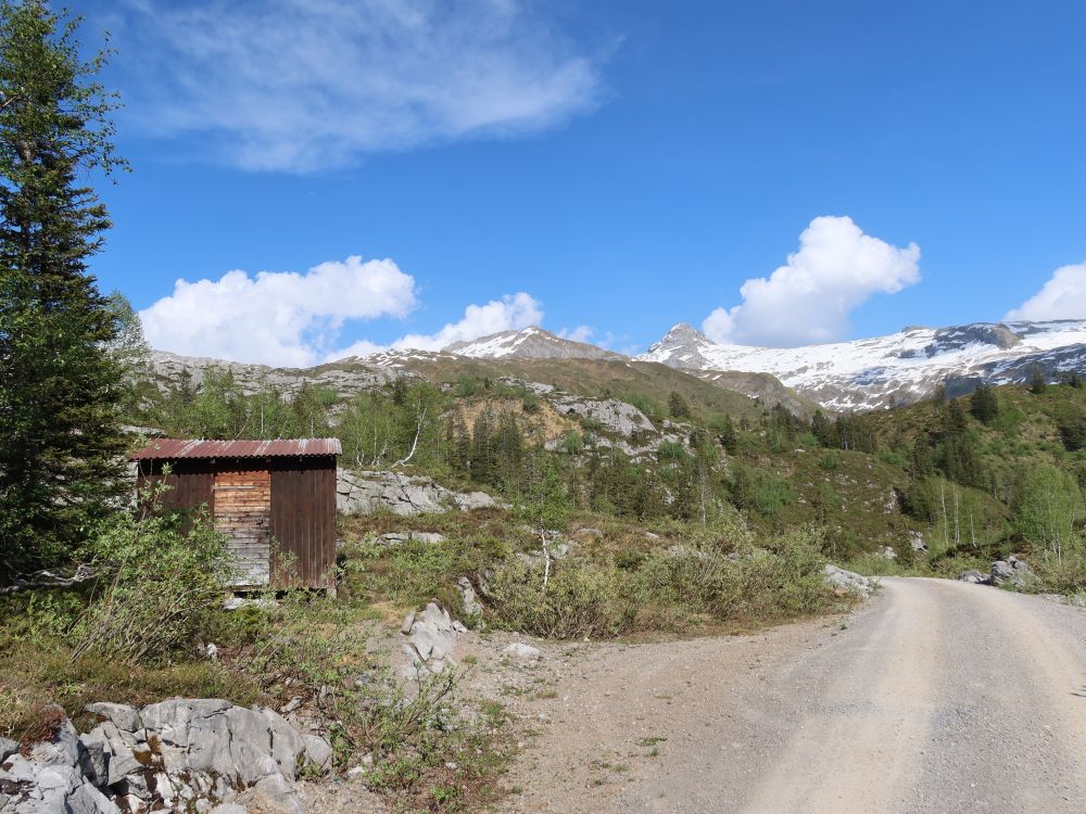 Hütte an der Torstrasse