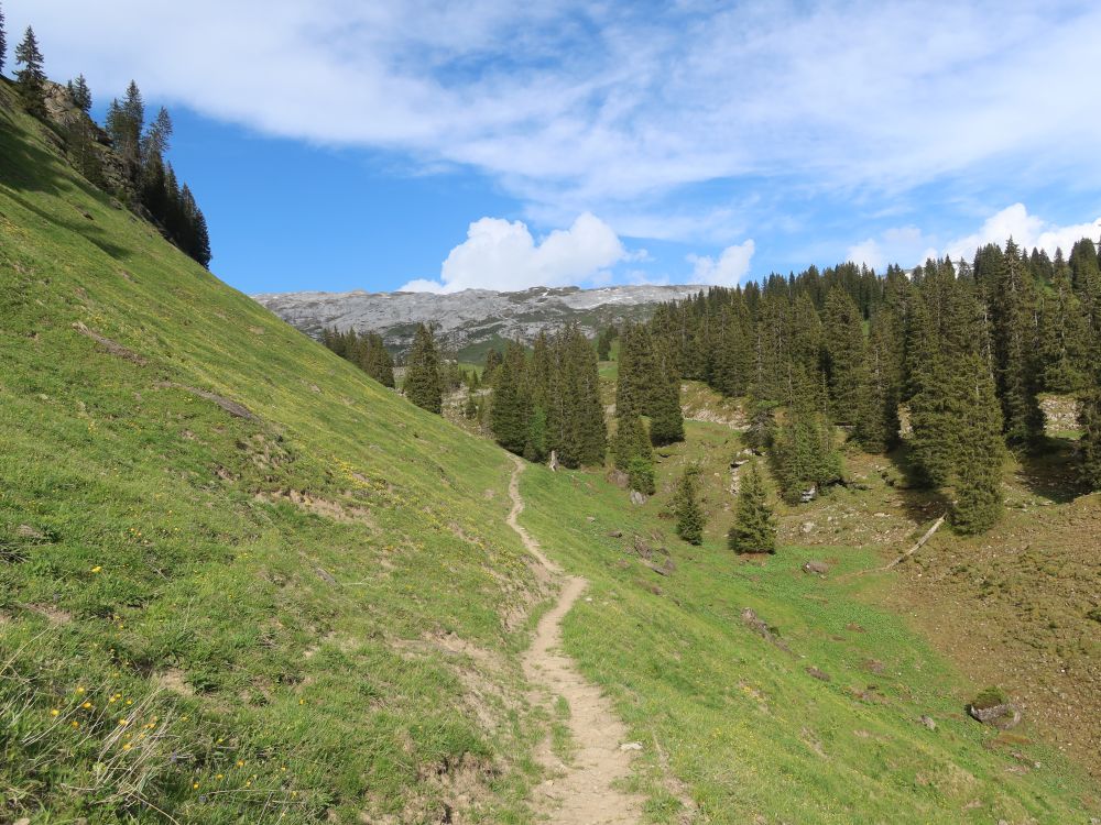 Bergpfad