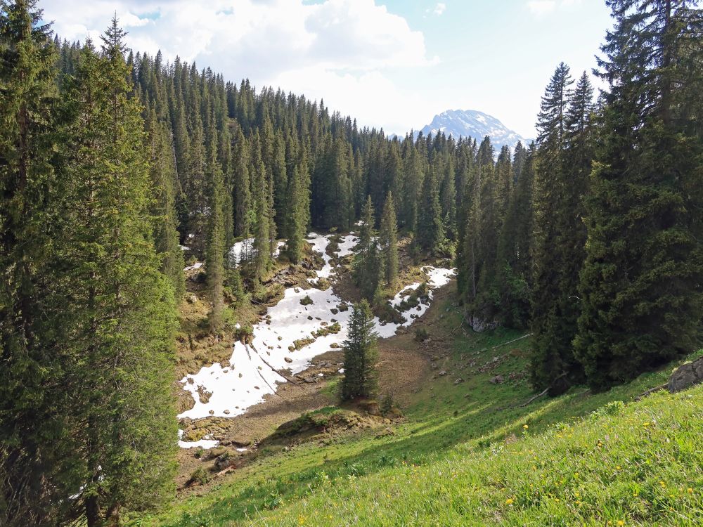 Schneereste