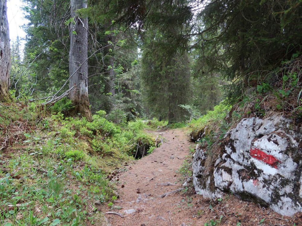 Bergpfad