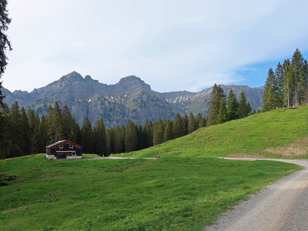 Forstberg und Druesberg