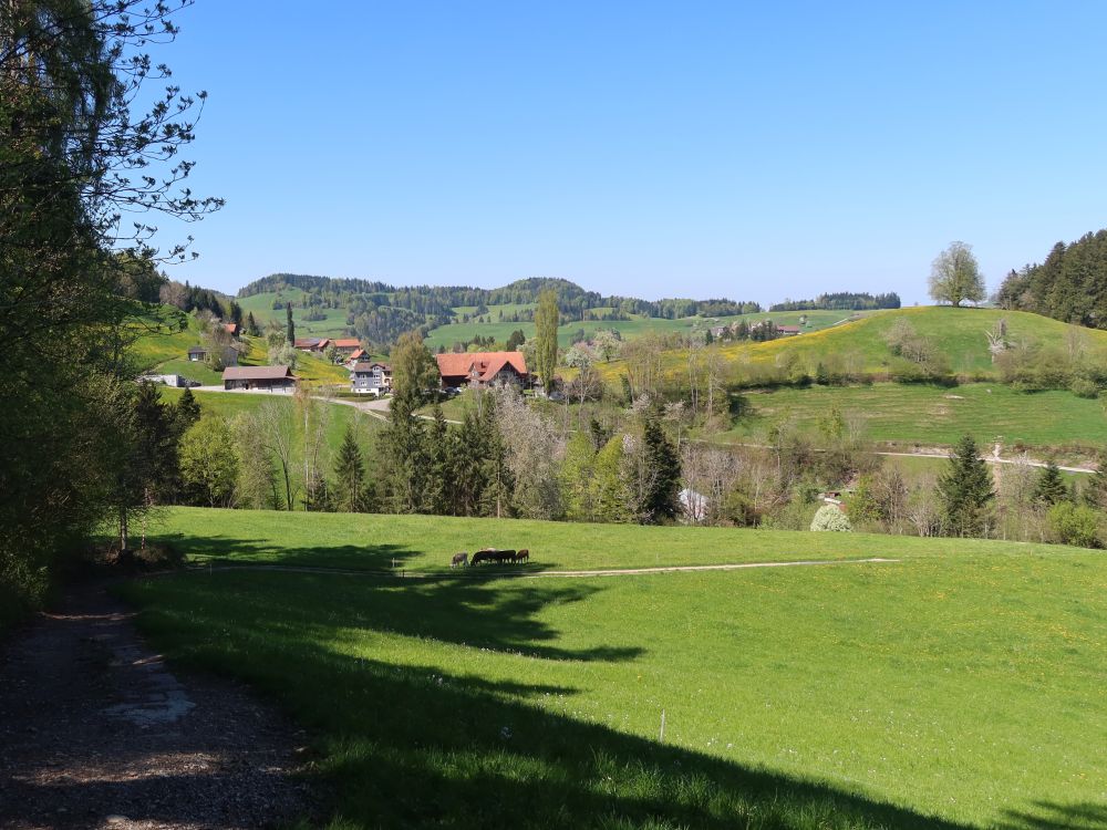 Blick Richtung Stampfe