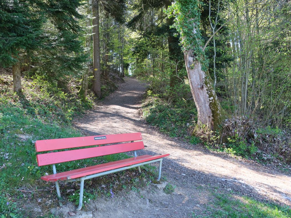 Sitzbank am Waldrand