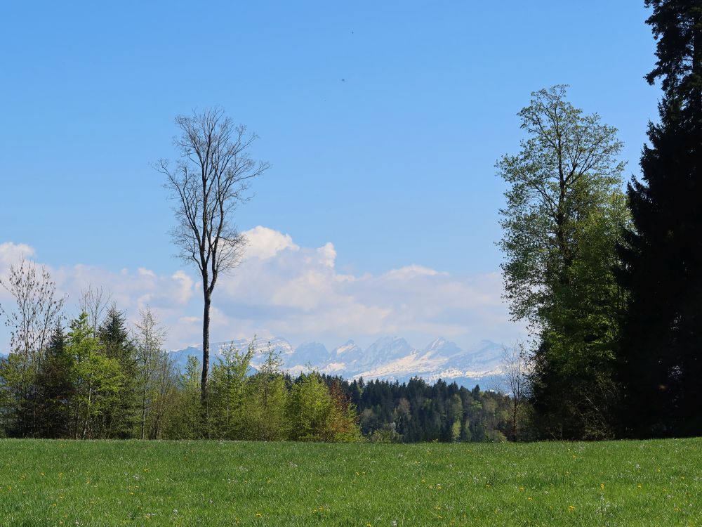 Churfirsten