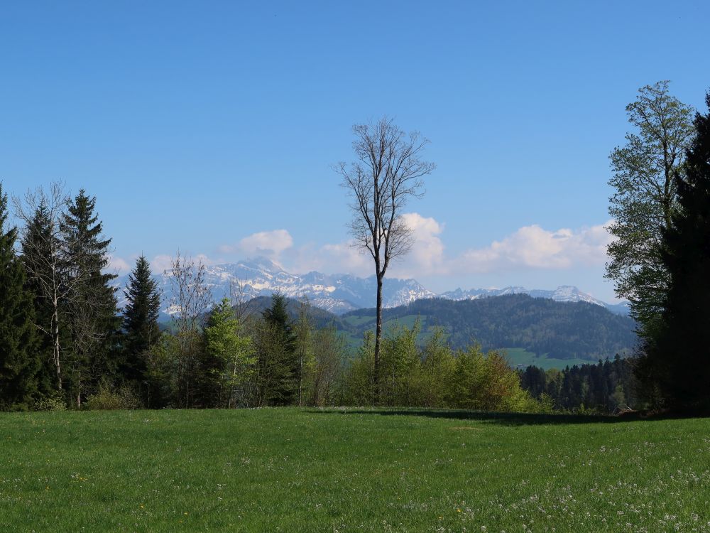 Säntis bis Lütispitz