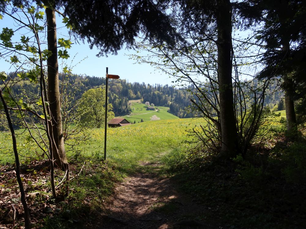 Pfad am Waldrand