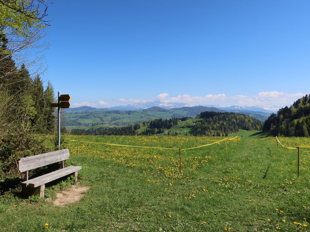 Sitzbank mit Säntisblick