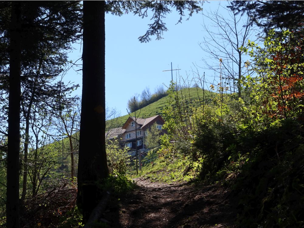 Schlosshöchi