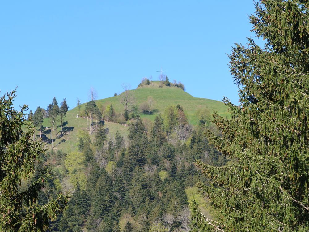 Schlosshöchi