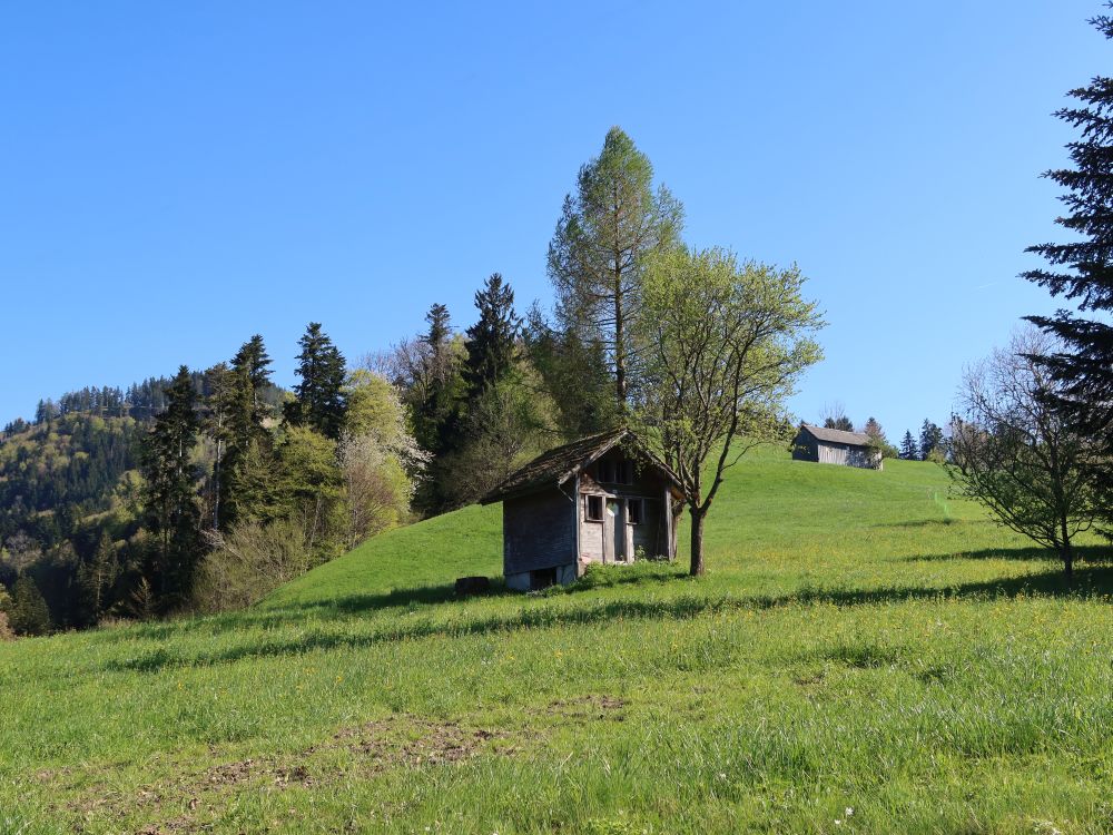 Hütte bei Wiesen