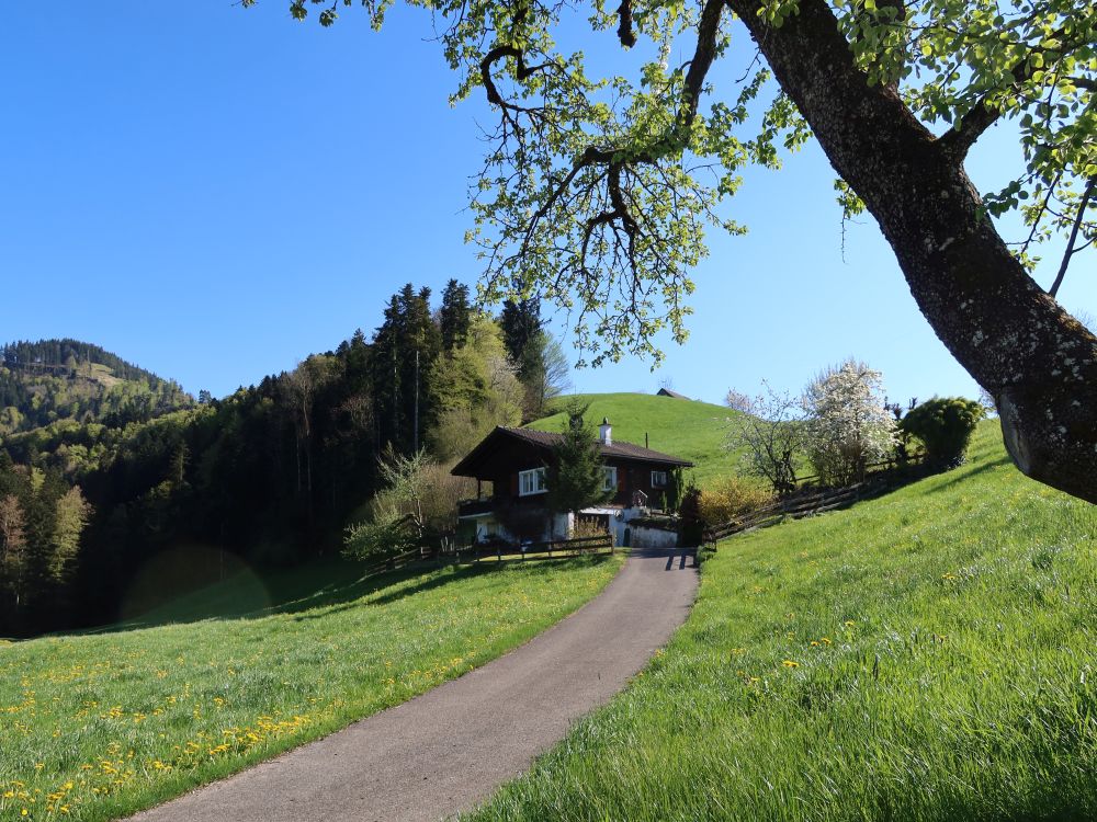 Haus bei Wiesen
