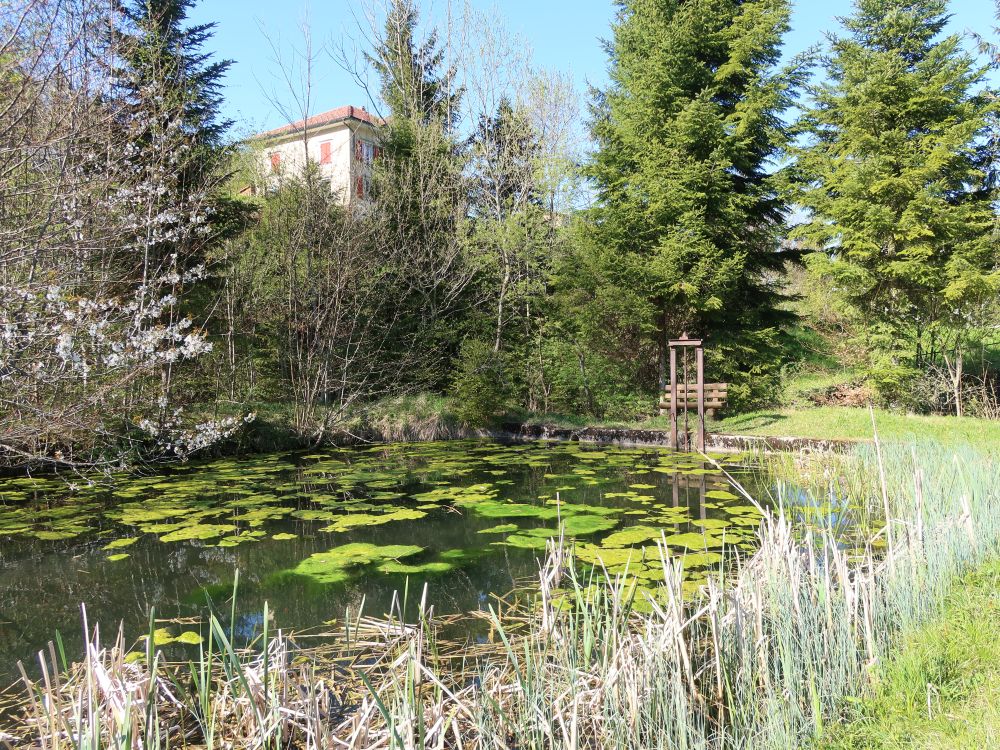 Teich am Gonzenbach