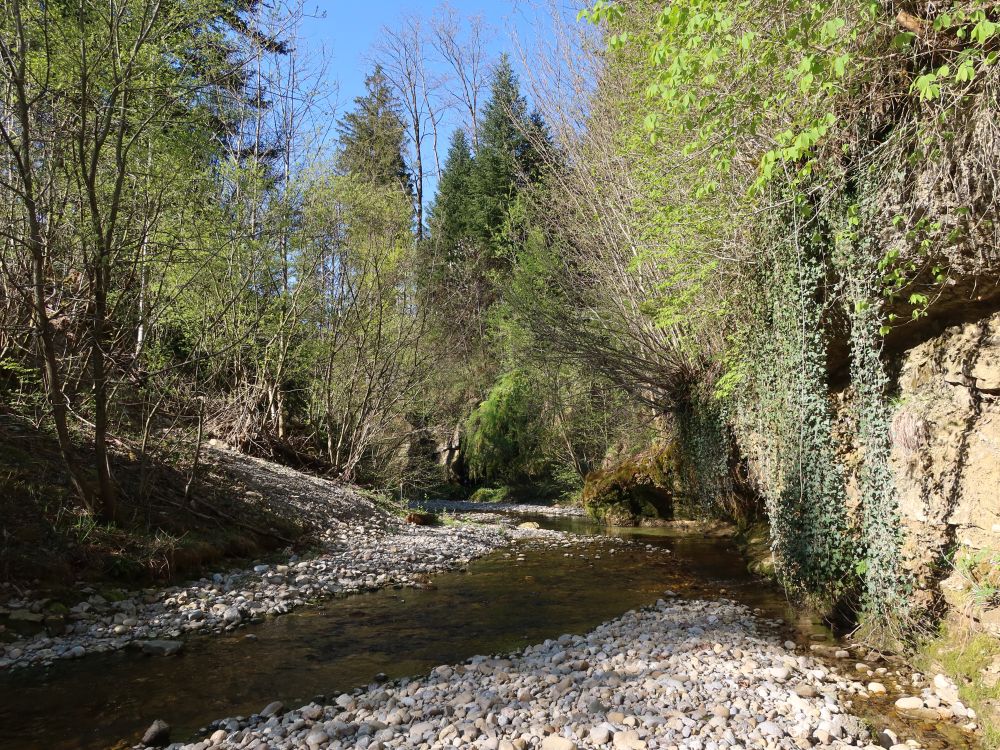 Gonzenbach