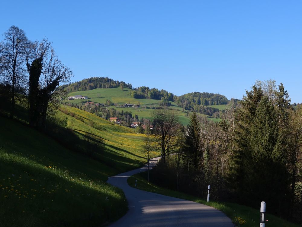 Storenbach und blühende Wiesen