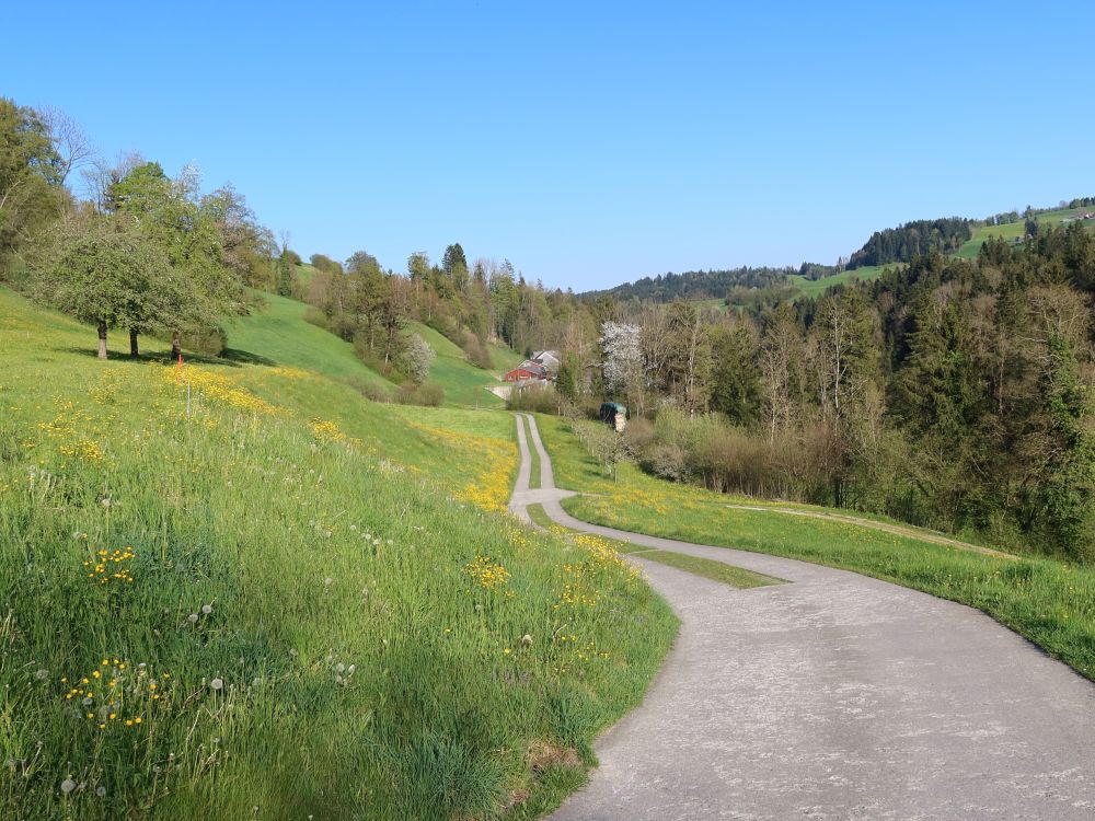 Blick Richtung Bödmeli