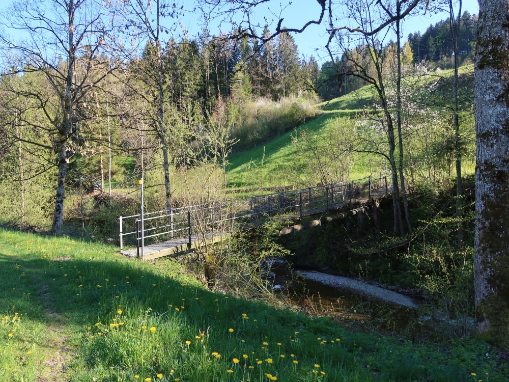 Steg bei Bödmeli