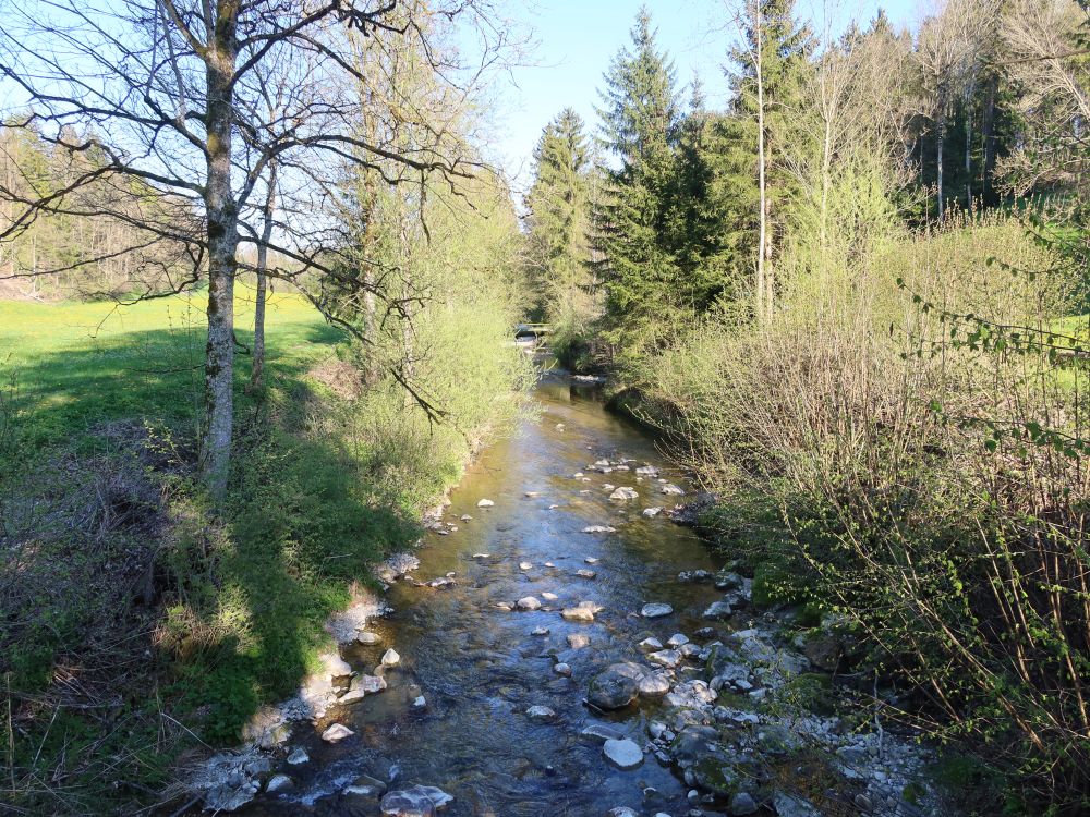 Gonzenbach