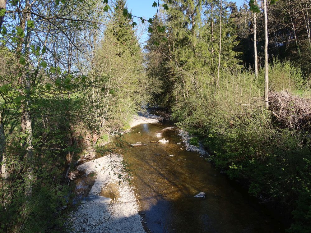 Gonzenbach