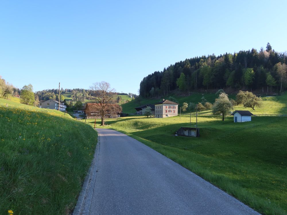Blick Richtung Hofwis