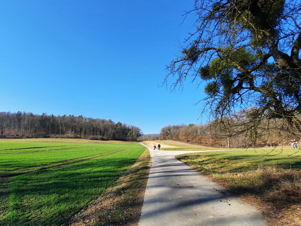 Weg am Haugraben