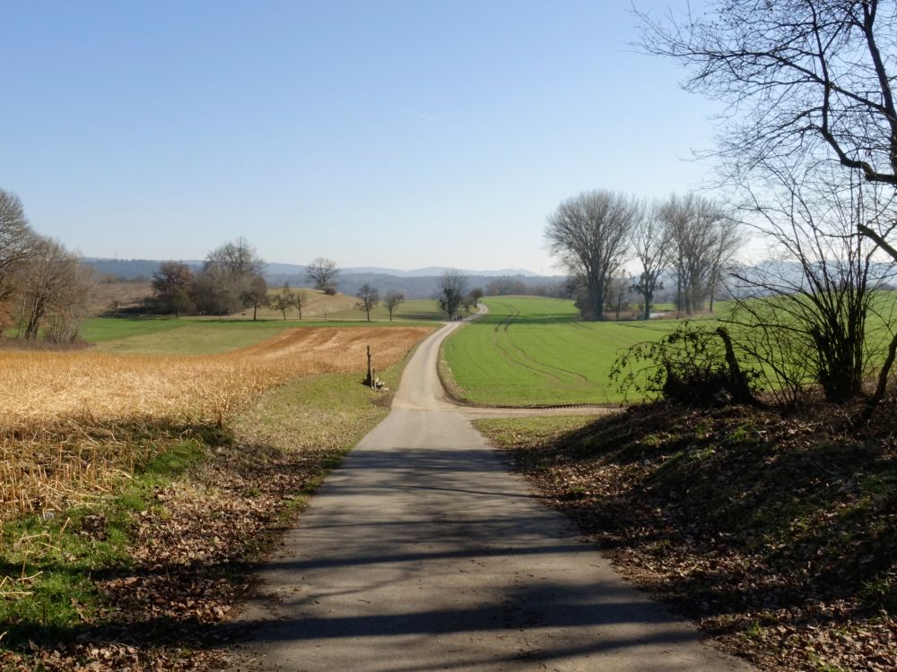 Weg am Haugraben