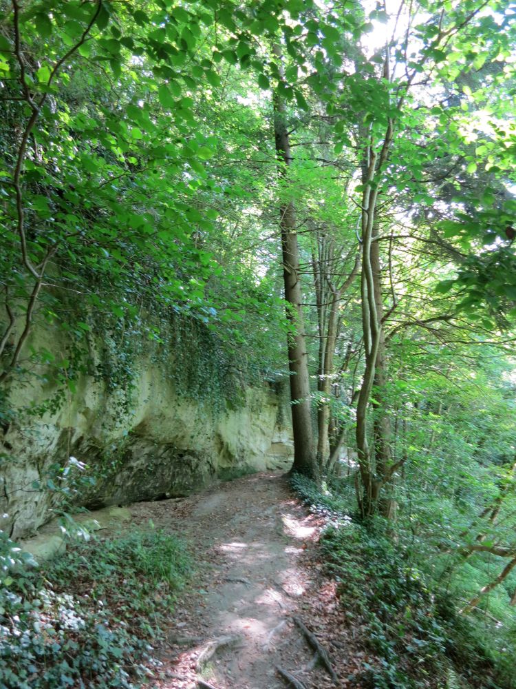 Tobelweg