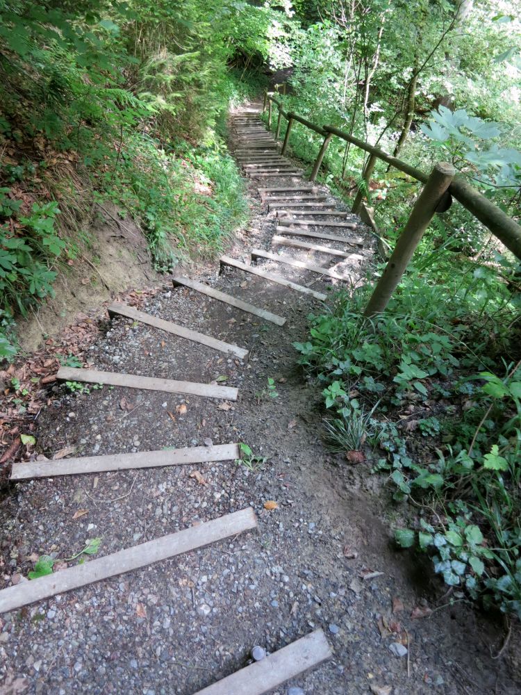 Treppe im Aachtobel