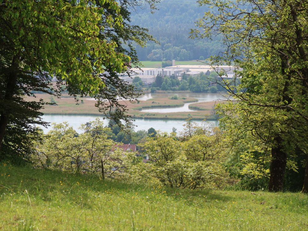 Klingnauer Stausee