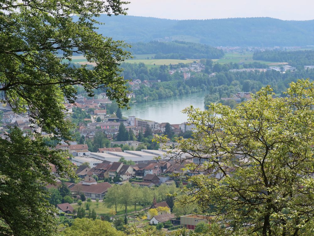 Aare bei Klingnau