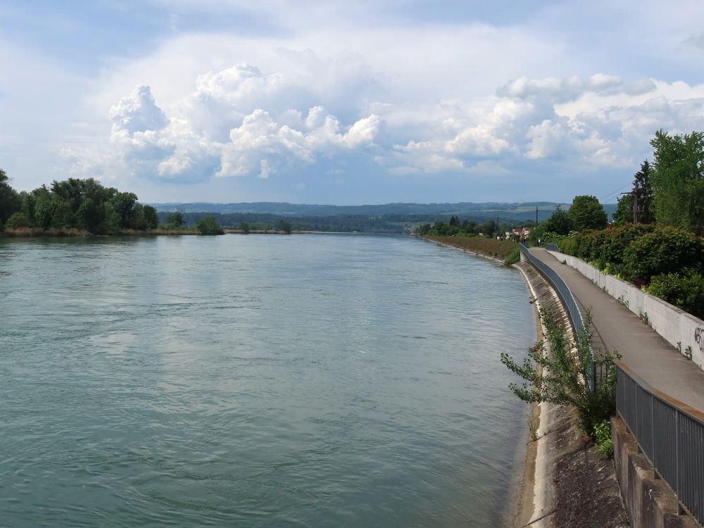 Aare