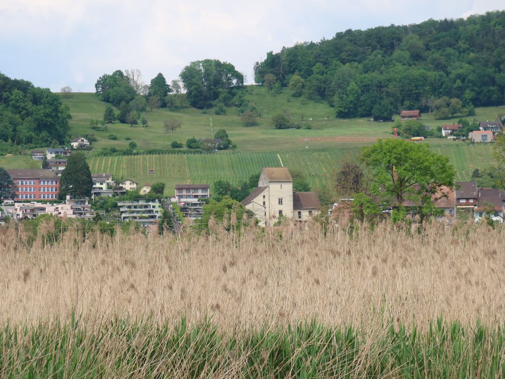 Klingnau mit Dornestigle